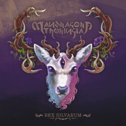 Rex Silvarum - Albumcover